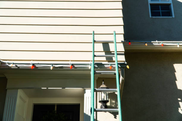 Best Brick Veneer Siding  in Forestville, CA